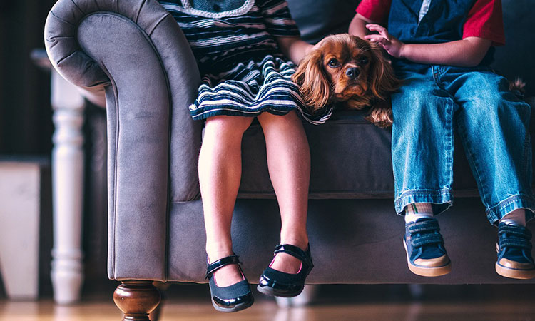 La disciplina y el lenguaje son claves para el desarrollo infantil