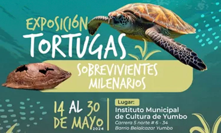 "Tortugas Sobrevivientes Milenarias" estarán en Yumbo