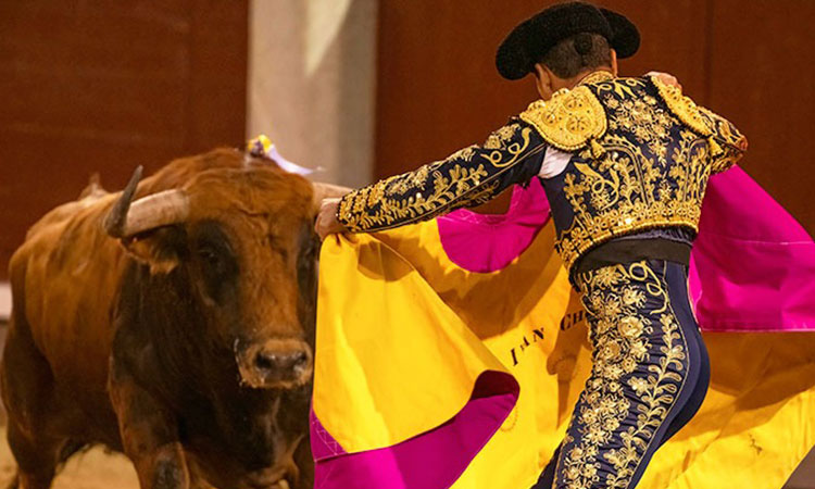 Confirmado: Cali tendrá feria taurina en diciembre 2024