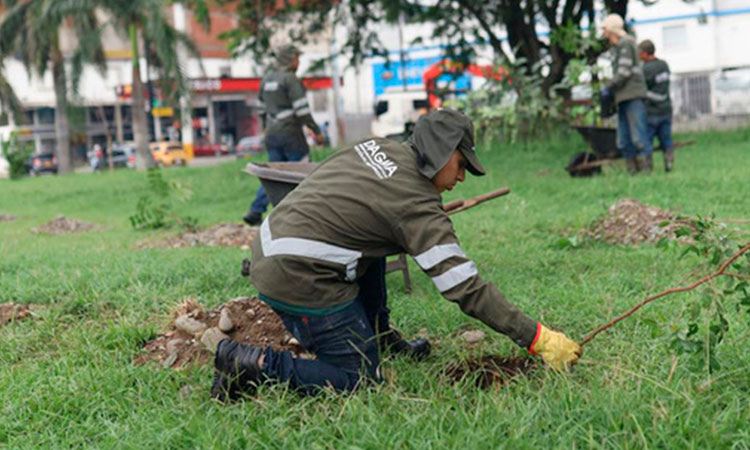 Invitación a fortalecer bosques urbanos de Cali