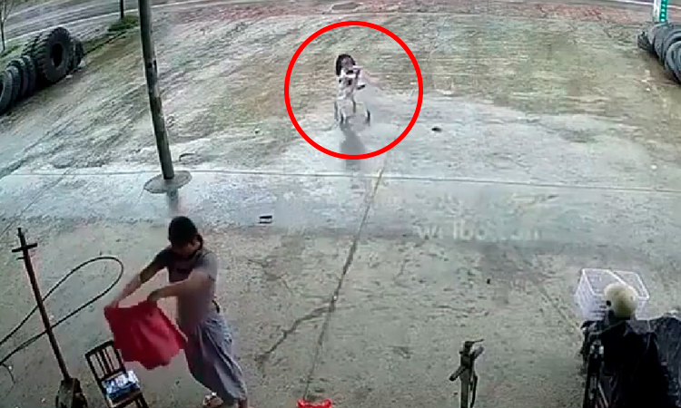 video madre descuidó a su bebé