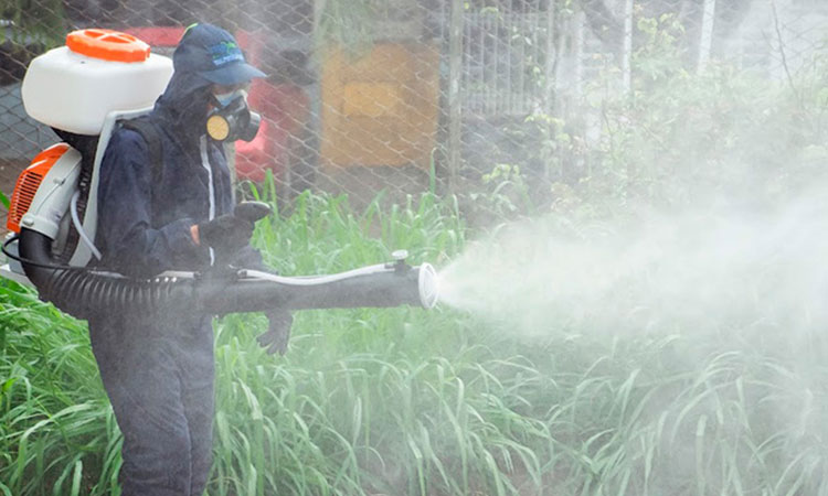 24.821 casos de dengue se registraron en Cali este semestre