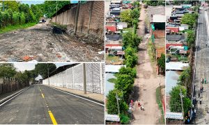 Alcalde de Palmira entregó nueva vía: el "Callejón Palomino"