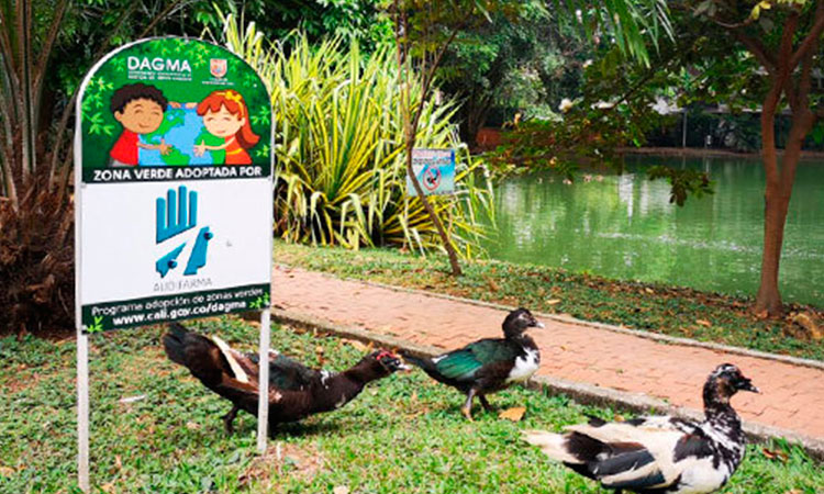 Cali, una potencia en biodiversidad