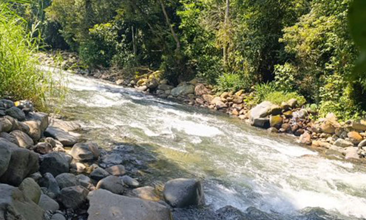 CVC se pronuncia sobre denuncia de contaminación del río Pance