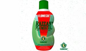 Raizan Flomecol producto