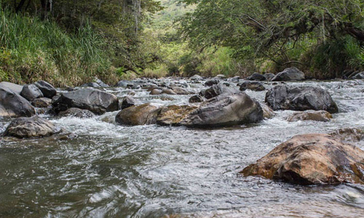 Multas de hasta 6 millones por uso indebido de agua en Cali