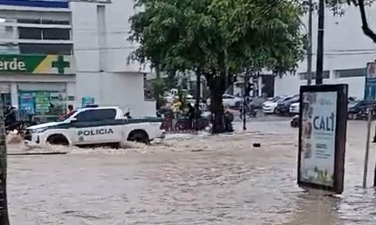 Árboles caídos y cortes de energía: El balance de las lluvias en Cali