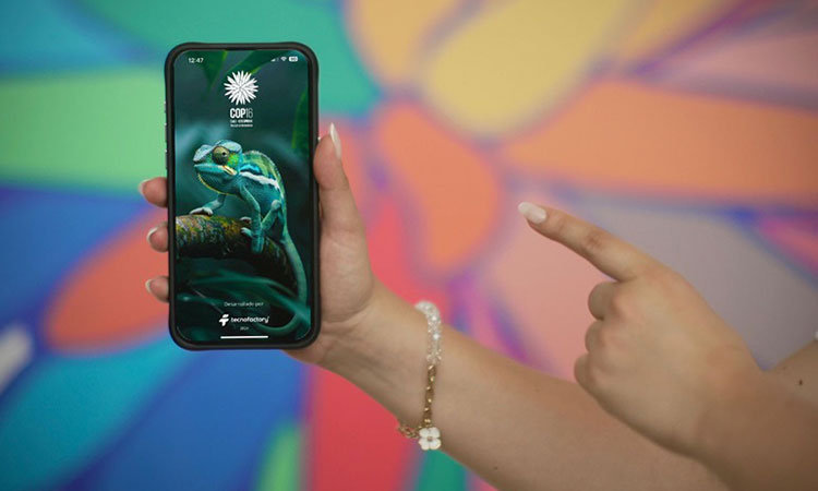 Conéctate a la COP16 y no te pierdas nada: descarga las apps oficiales