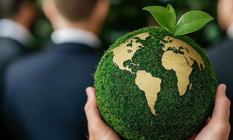 Empresas y biodiversidad: La transparencia como clave en la COP16