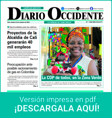 pdf diario