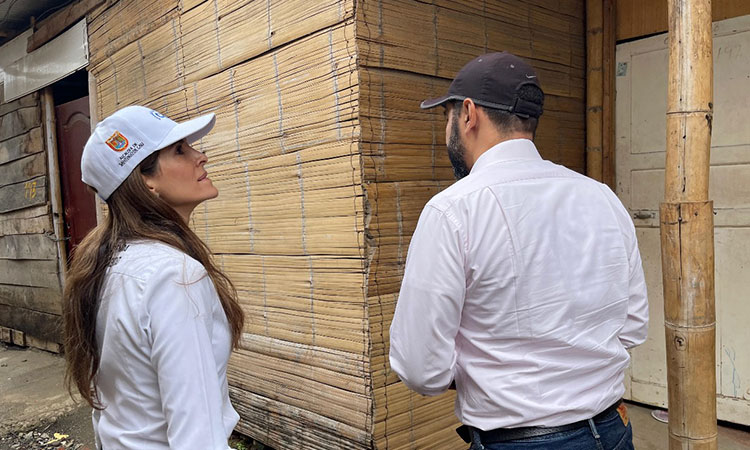 Subsidios, proyectos y legalizaciones: así avanza Cali en temas de vivienda