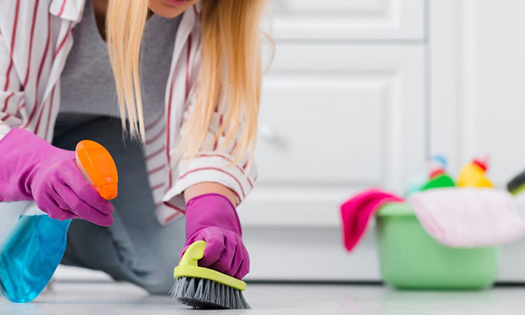 Cómo prevenir la aparición de cucarachas con métodos naturales