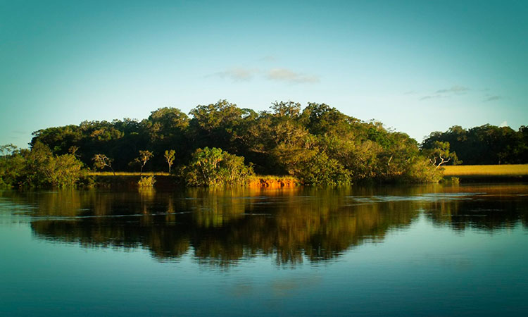 En este 2025 Colombia le sigue apostando al turismo de naturaleza