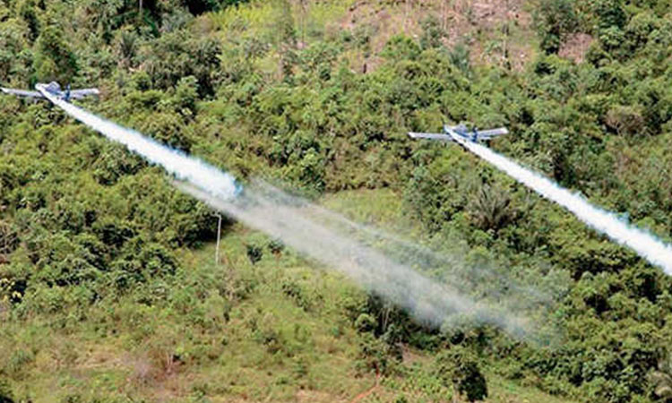 Alcalde de Cali exige erradicación de 1.800 hectáreas de coca en Jamundí para frenar la violencia en la ciudad