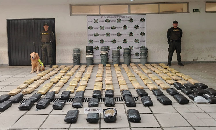 Detectan narcoencomienda con marihuana tipo creepy en tarros de pintura en Cali