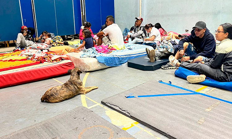 Avanzan operativos en Jamundí