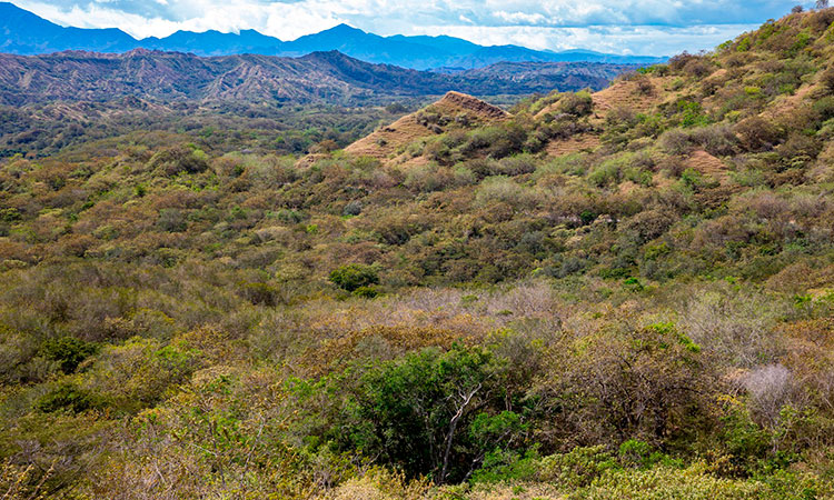 Avanza creación de área protegida en el sur del Cauca