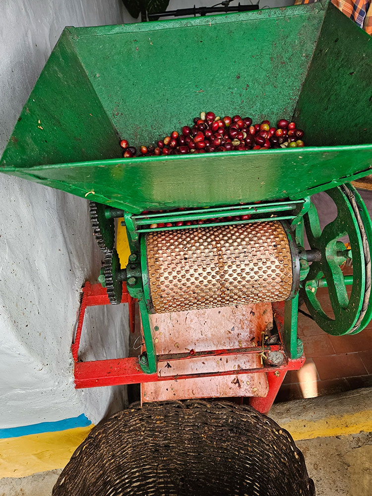 Café Era: el sabor que transforma momentos en experiencias únicas