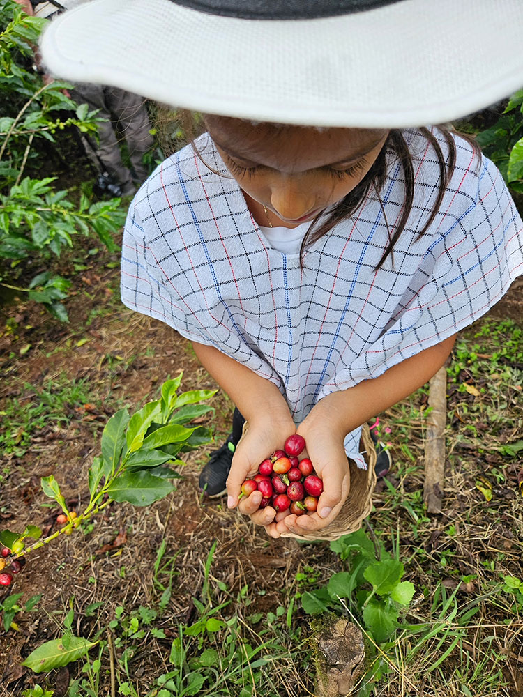 Café Era: el sabor que transforma momentos en experiencias únicas