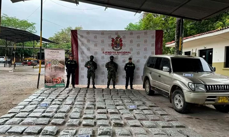 Alerta en Colombia por descertificación y sus riesgos