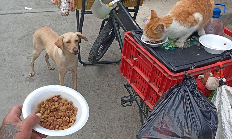 Donación de alimentos para mascotas en el Festival de Patinaje “Sueña en Grande” en Cali