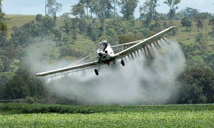 Petro anuncia reapertura de fumigación aérea