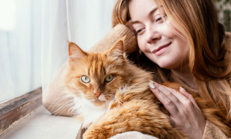 ¿Sabías que tener un gato puede ayudar a superar una infidelidad?