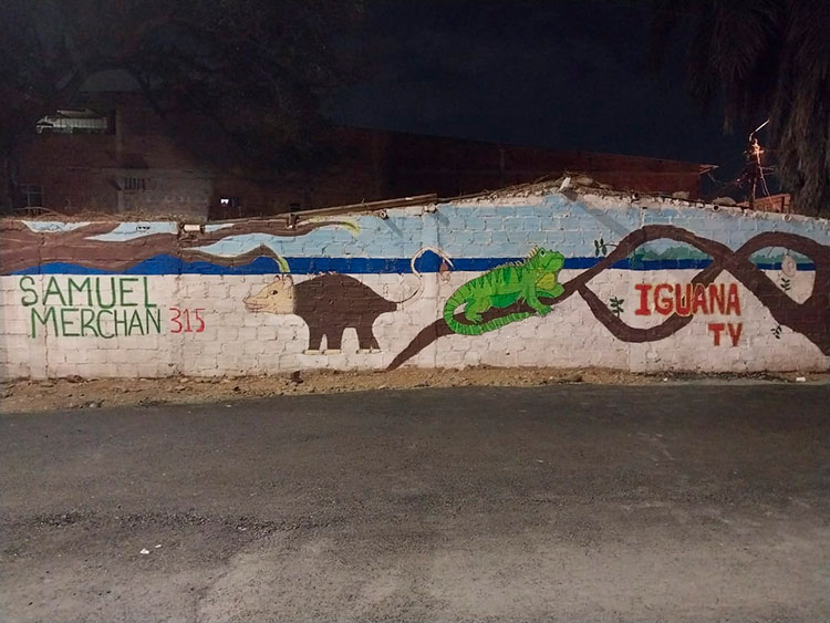 Santiago Montoya: sembrar para resistir, rescatar para transformar