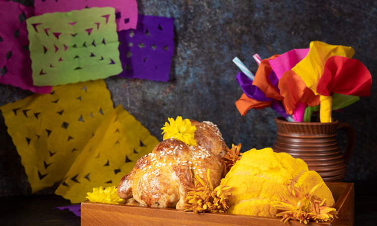Altar de muertos para mascotas significado fecha clave y como hacerlo en casa