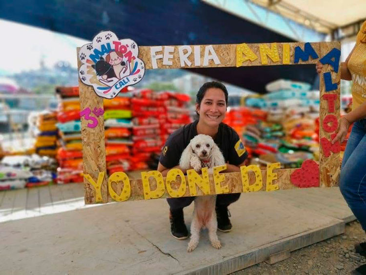 Animaltón: nueve años de solidaridad para los animales en el Valle del Cauca