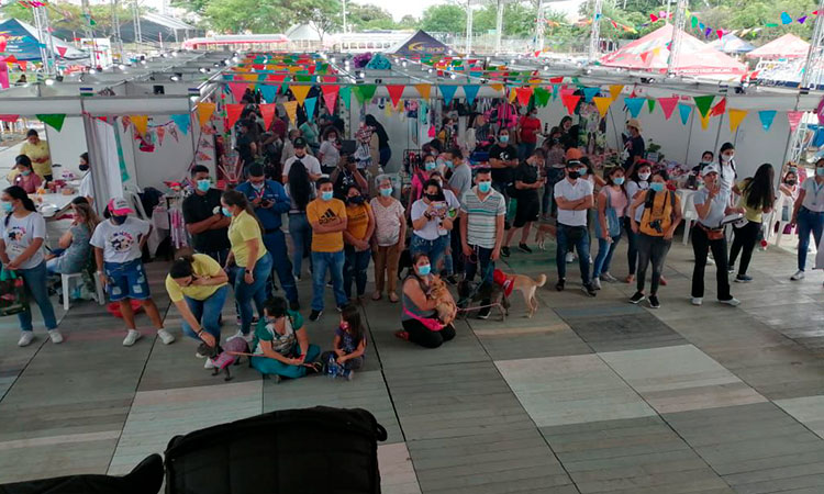 Animaltón: nueve años de solidaridad para los animales en el Valle del Cauca