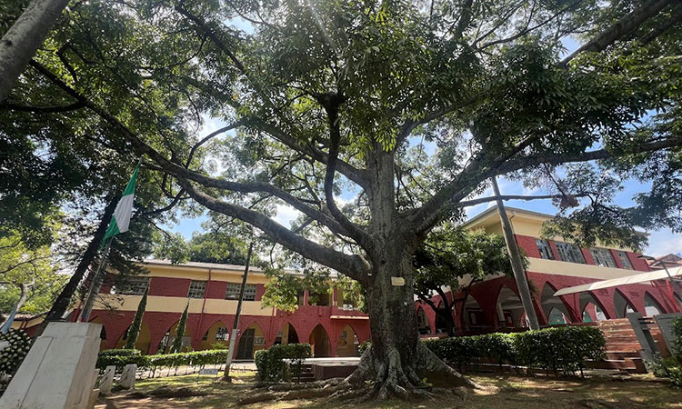 Bloques A y H de Santa Librada serán restaurados: estos son los detalles