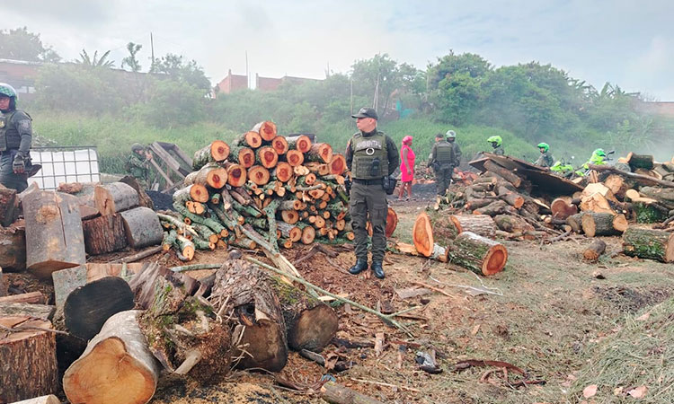 Capturan a tres personas por producción ilegal de carbón vegetal en la Comuna 15 en Cali