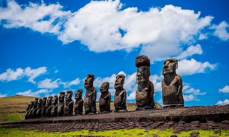 ¿Cómo los recuerdos de tus ancestros podrían vivir en tu cuerpo?