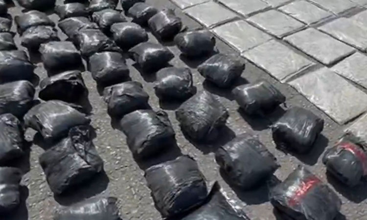 Desmantelan la banda transnacional en el Cauca