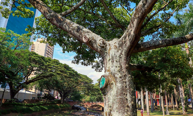 En Cali se buscan BiodiverCiudadanos