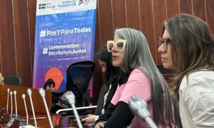 "No más Misoginia" fue socializada en el Congreso