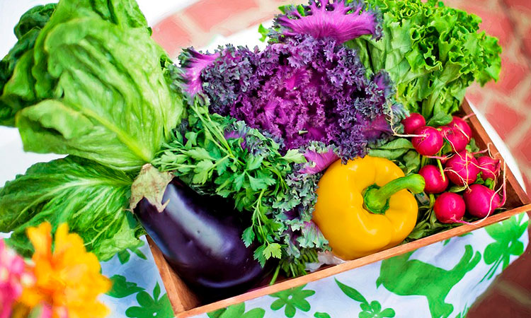 Precios de alimentos vuelven a subir