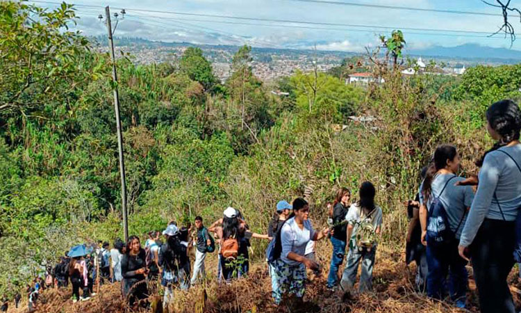 Siembran mil árboles en emblemático cerro de Popayán