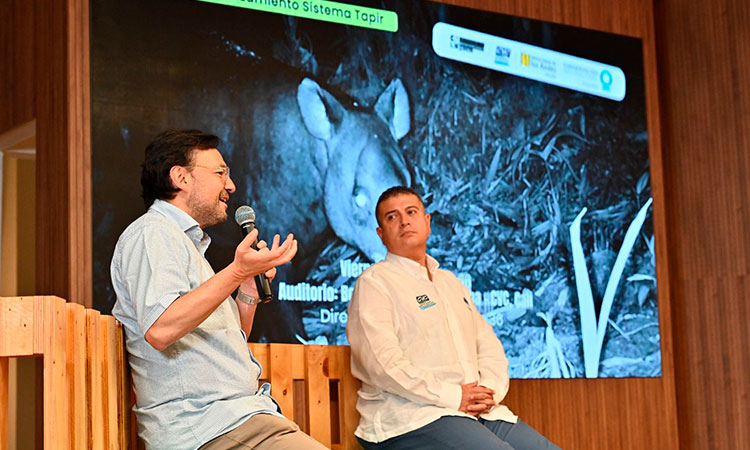 "Tapir" dirá por donde construir vías