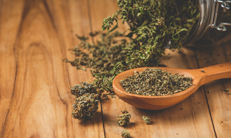 Ya es oficial: Gobierno aprueba venta de cannabis medicinal en farmacias en Colombia