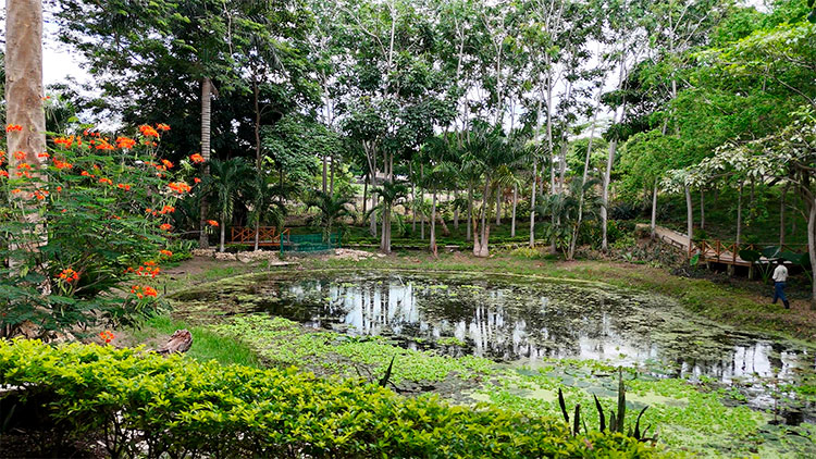 Banner Canal WhatsApp