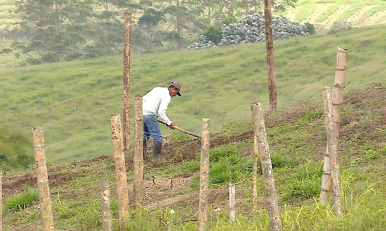 Investigan amenazas a campesinos del Valle