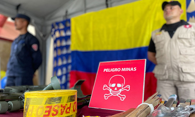 Palmira, territorio libre de minas