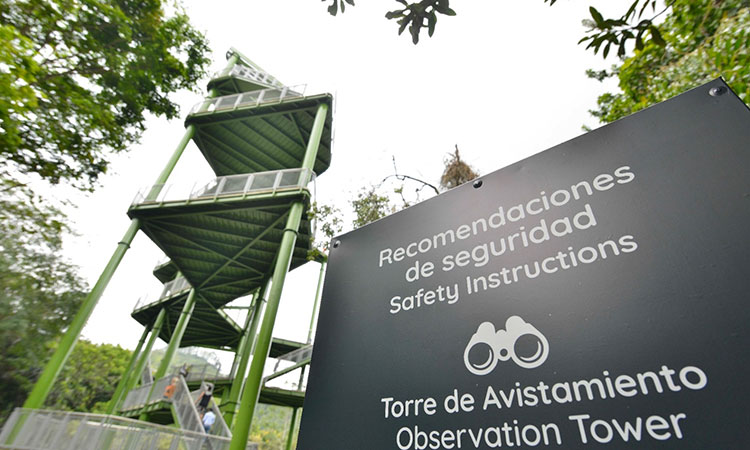 Urgen abrir torre de avistamiento en Pance