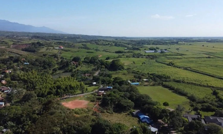 Urgen articulación para entrega de tierras
