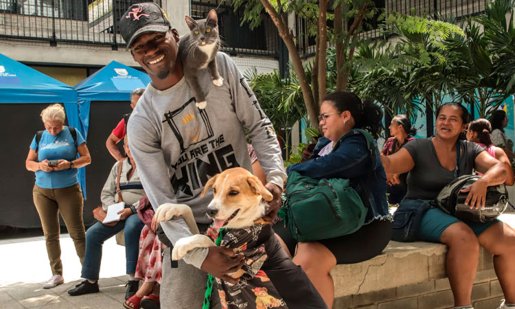 Cinco enfermedades comunes que afectan a las mascotas en Cali