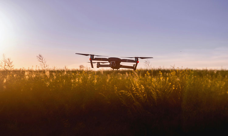 Cauca sería en piloto de la aspersión con drones y glifosato