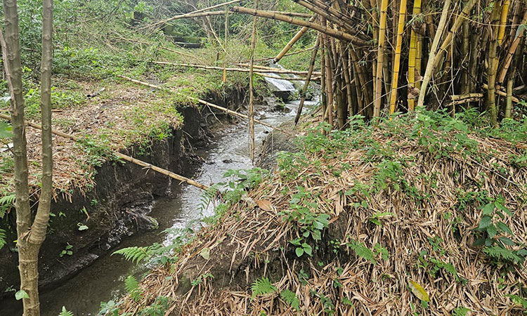 Hallan en Palmira fuente de agua subterránea